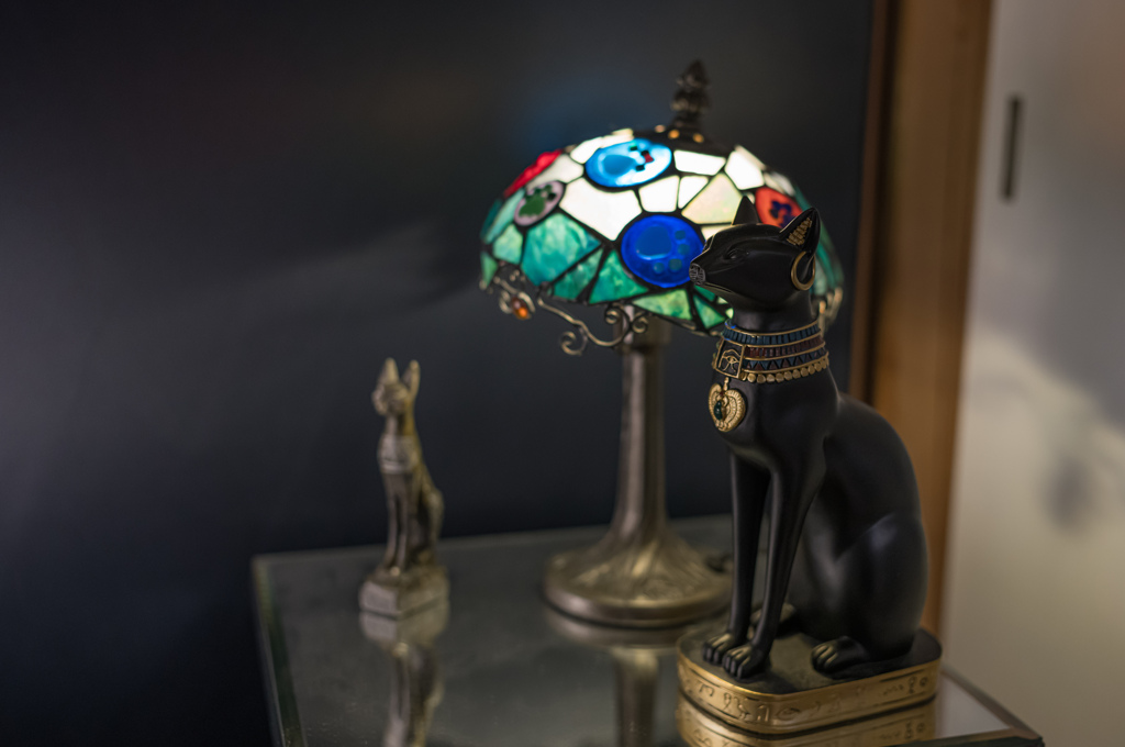 猫猫寺　黒ネコ