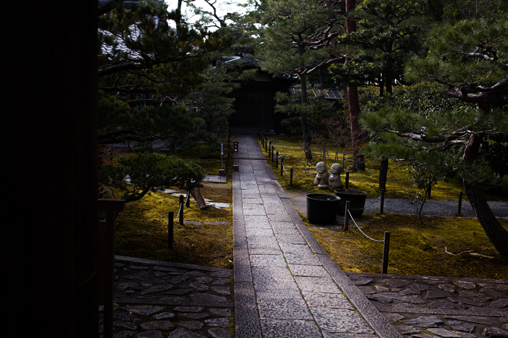 京都妙心寺　散策10