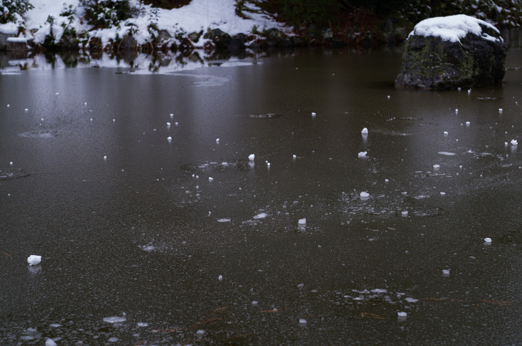 雪解けの風景　8