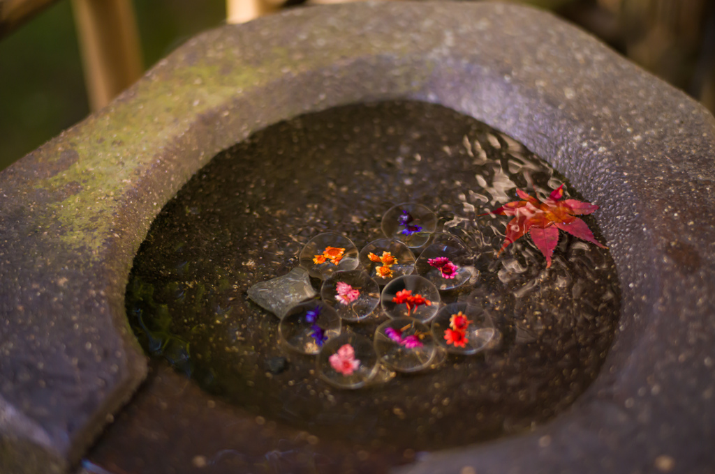 京都祇王寺　18
