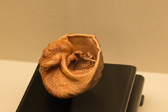 京都清宗根付館　8月展　25