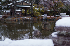 雪解けの風景　9