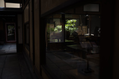 奥の坪庭