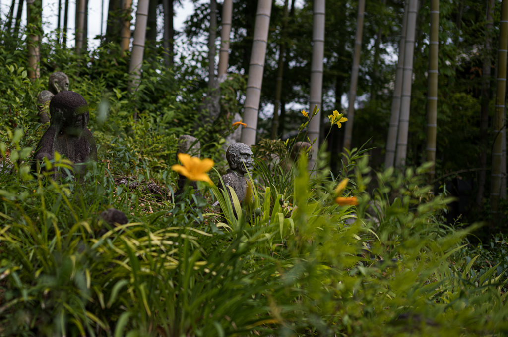 白沙村荘・橋本関雪記念館　20