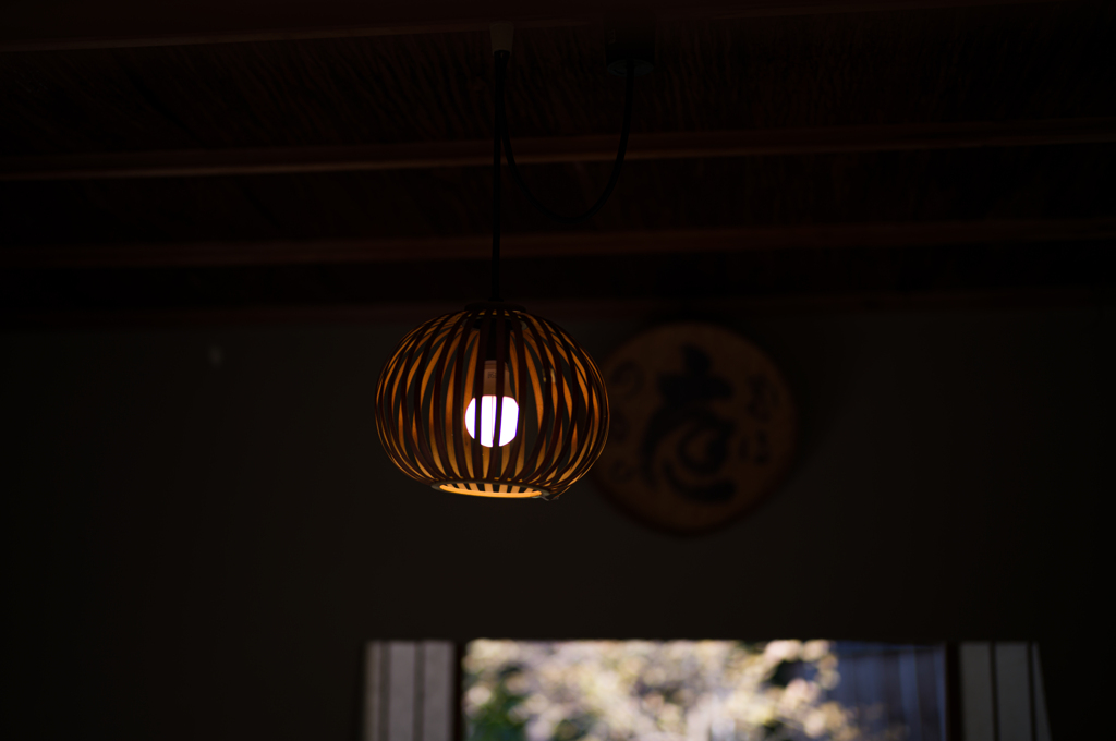 京都妙心寺　退蔵院　28