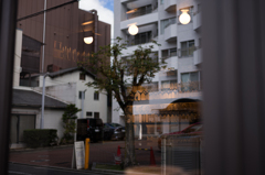 交わる世界