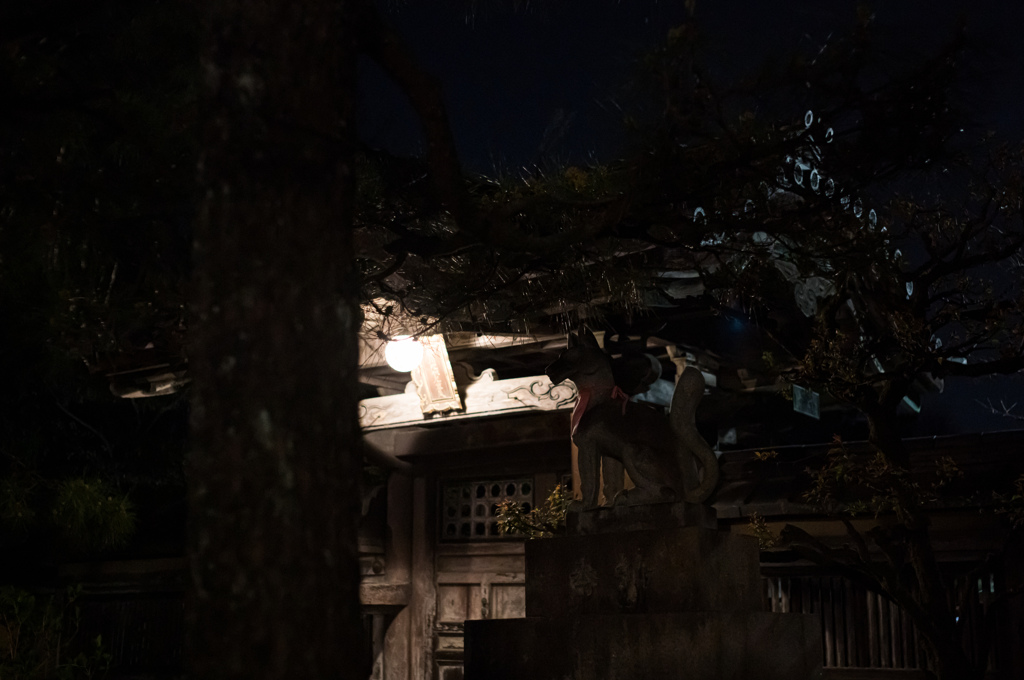 稲荷の夜