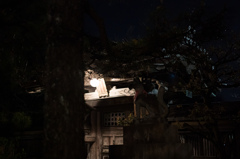 稲荷の夜