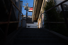 伏見午後の散歩　9