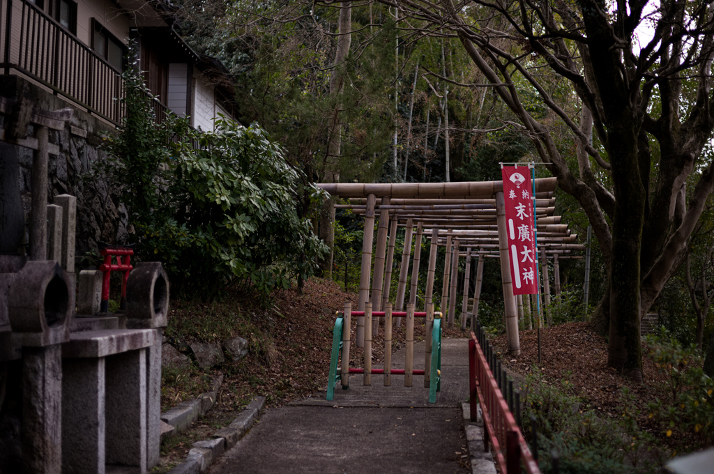 竹の鳥居