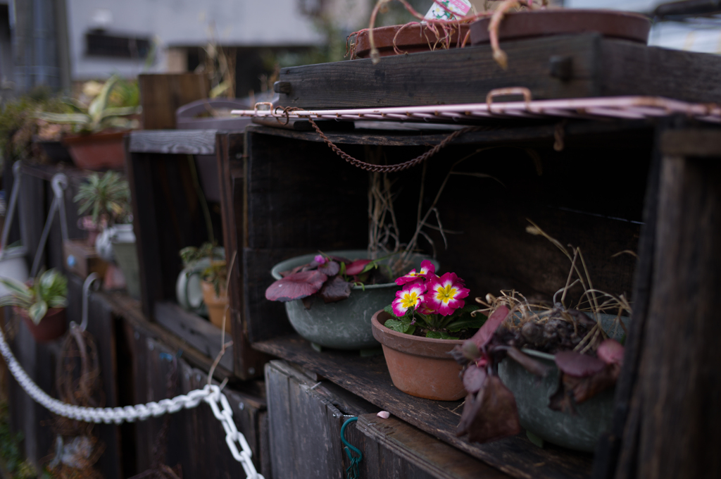 雨のち散歩　12