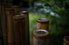 竹の水