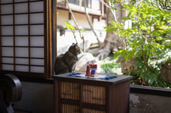 河井寛次郎記念館　5