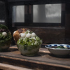 白玉抹茶氷