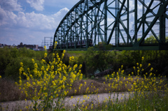 春の鉄橋