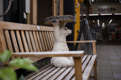 街角のしろくま