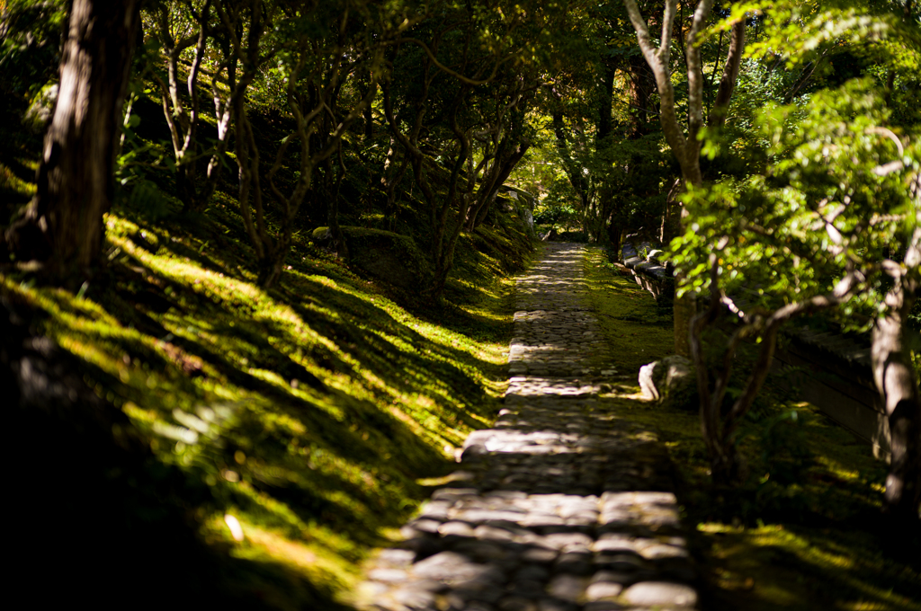 奈良吉城園　17