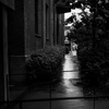 雨の日に