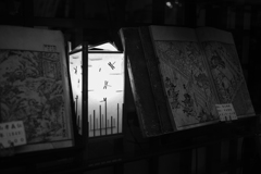 オールドレンズでお散歩　24