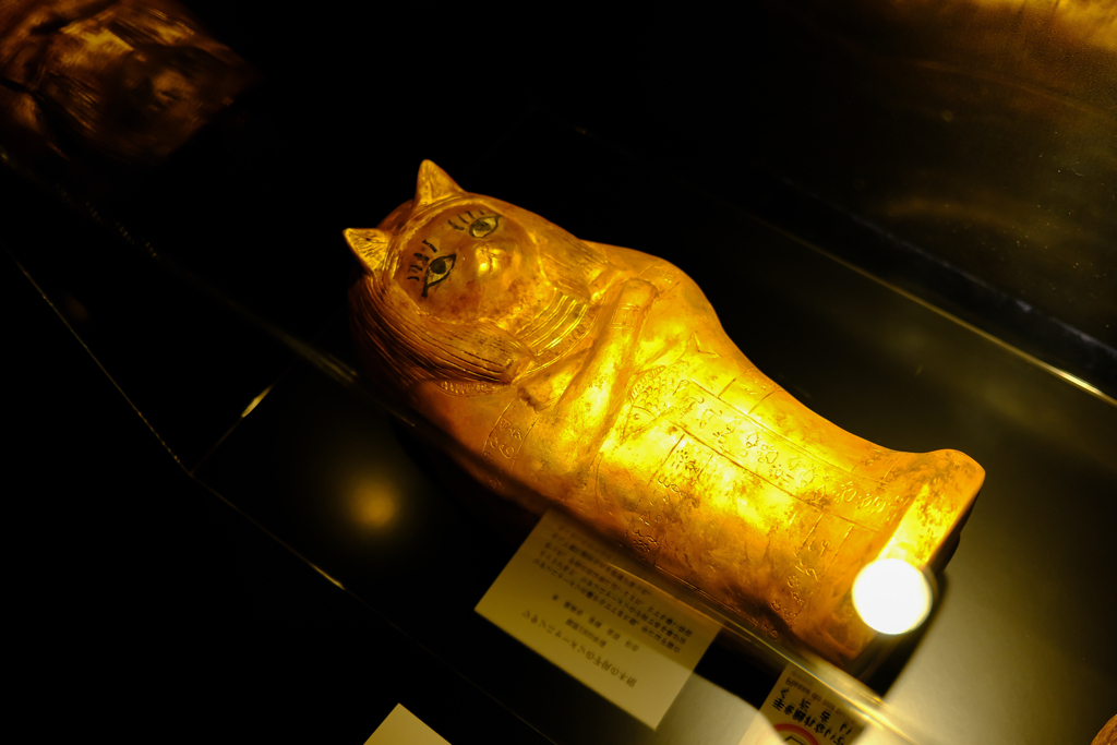 ツタンニャーメン展　6