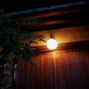 夜の光と影