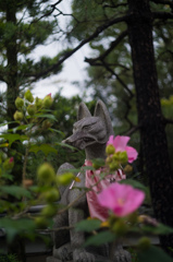 稲荷の華