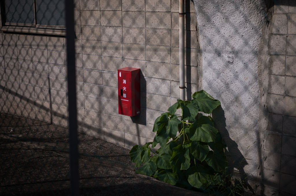 レンズお試しフォト　１