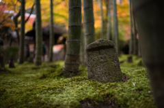 圓光寺　紅葉　23