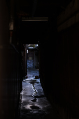 小路の影