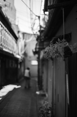 小路の日常