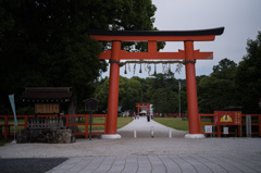 鳥居の一本道