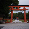 鳥居の一本道