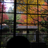 圓光寺　紅葉　3