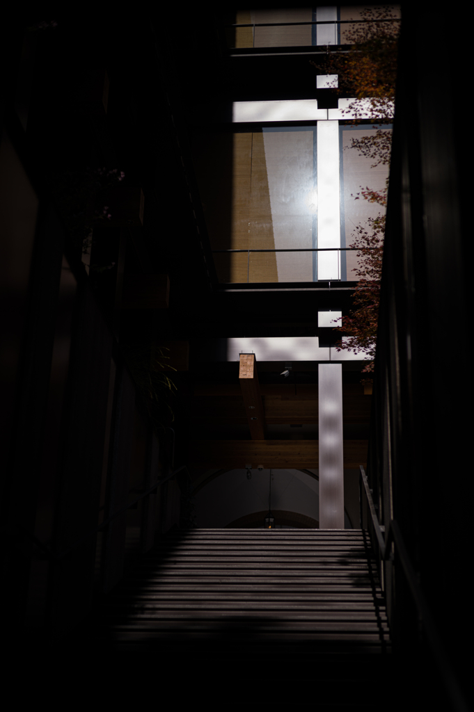 新風館　光と影2