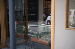 店先の華