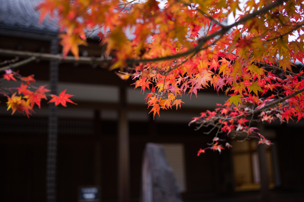 京都智積院　2