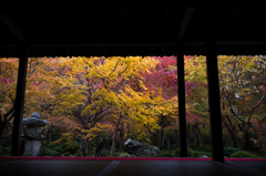 圓光寺　紅葉　1