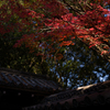 京都金地院　紅葉5