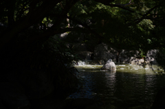 鶴見緑地公園　4