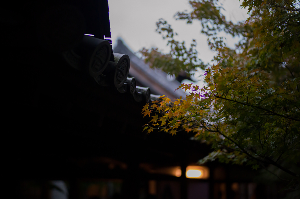 京都建仁寺　4