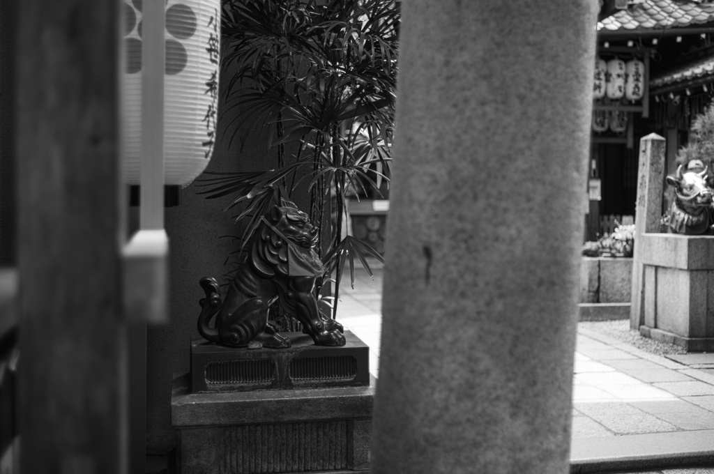 鳥居の先に