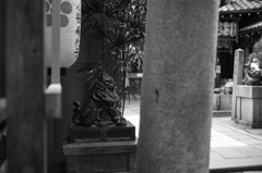 鳥居の先に