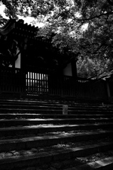京の景色