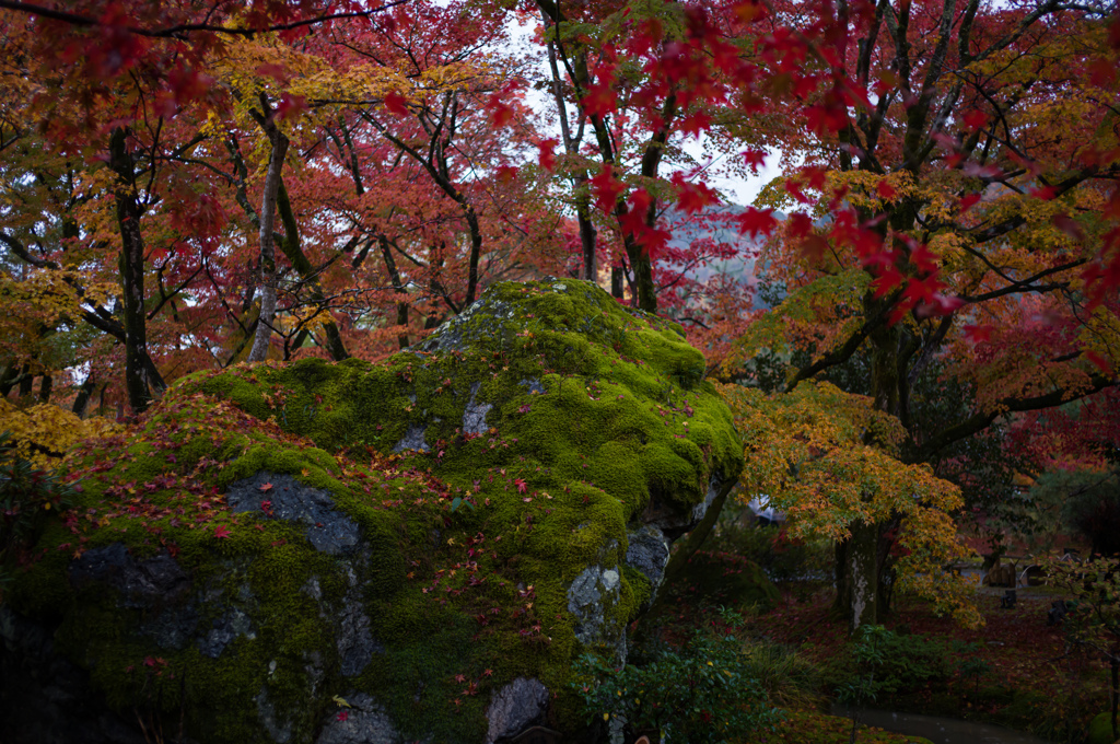 京都嵯峨嵐山　宝巌院4