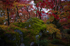 京都嵯峨嵐山　宝巌院4