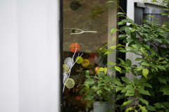 窓辺からそっと