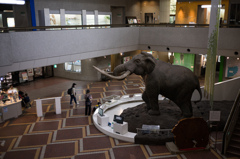 スケールの大きさ比較