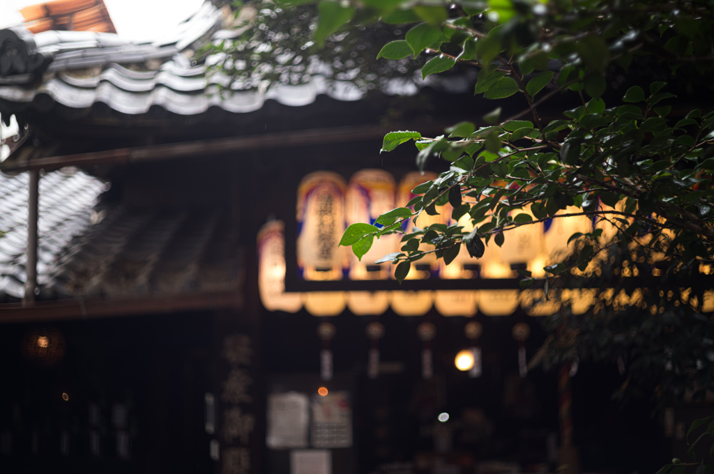 雨の寺院