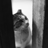 隙間から