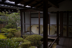 京都智積院　4